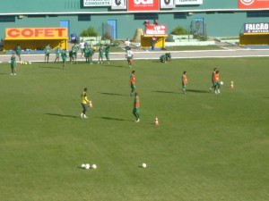 DSC06000