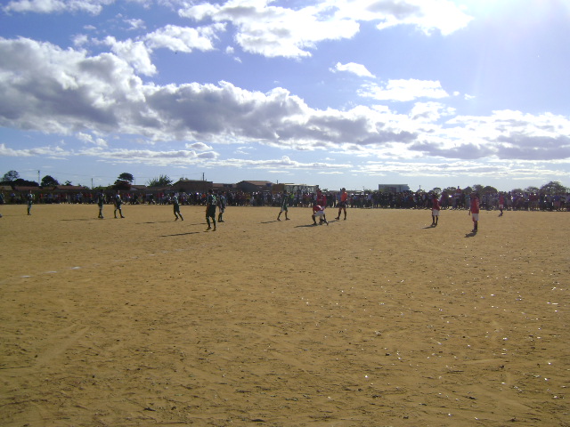 DSC03540