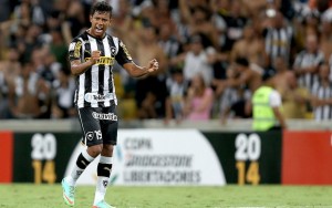 wallyson_botafogo_efe_95