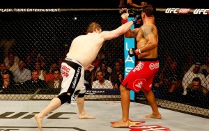 roy-nelson_minotauro_ufc_get_95