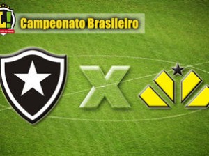 Botafogo-Criciuma-interna_LANIMA20140509_0105_24
