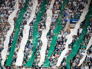 Palmeiras-Campeonato-Brasileiro-Torcida-FerreiraLANCEPress_LANIMA20150708_0398_62