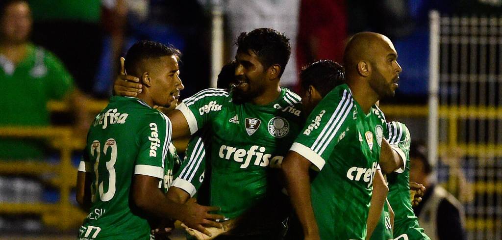 palmeiras-1024x489